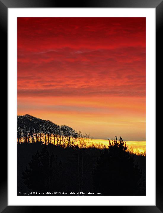 Sunset over the park Framed Mounted Print by Alexia Miles