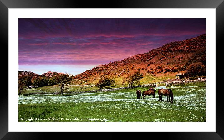 Valley of the Rocks Framed Mounted Print by Alexia Miles