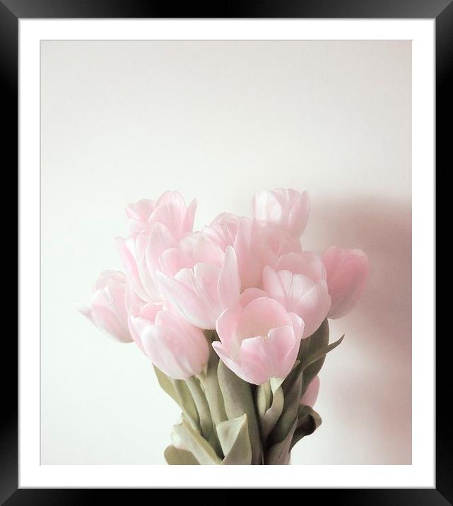 Simple Shade of Pink Framed Mounted Print by Alexia Miles