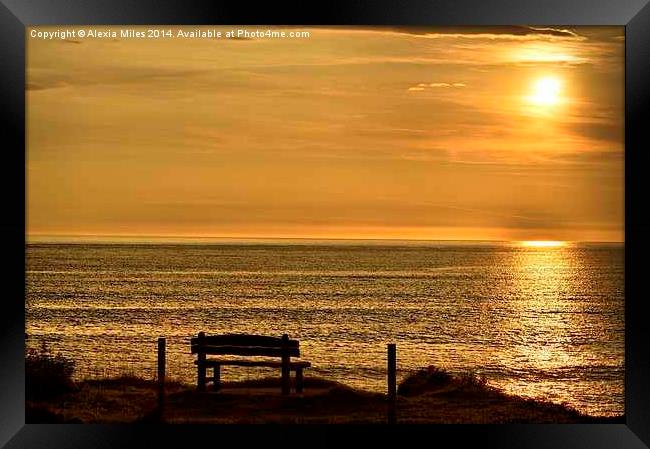 Take a Seat at Croyde Framed Print by Alexia Miles