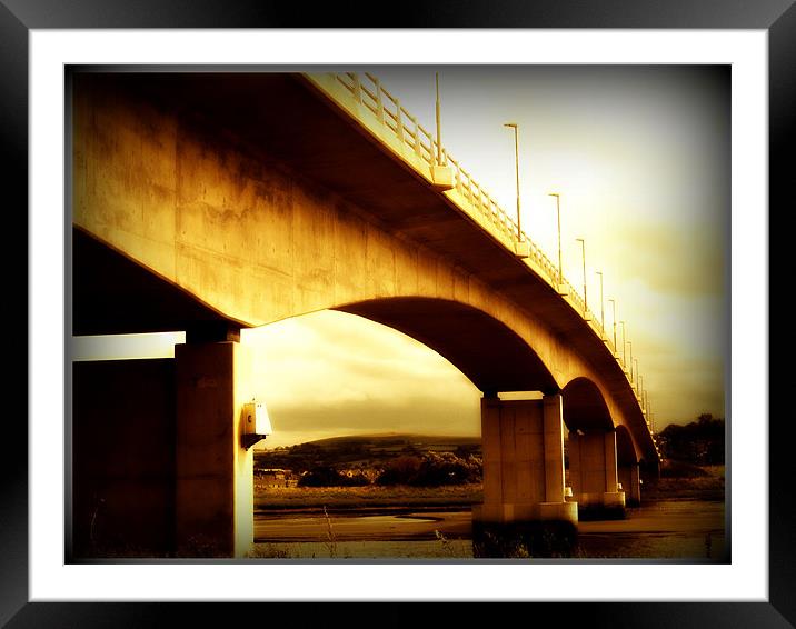 Barnstaple's New Bridge Framed Mounted Print by Alexia Miles