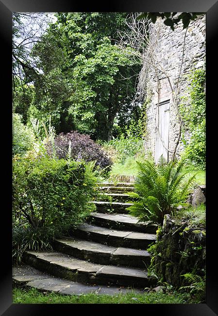 Steps to the Garden Framed Print by Alexia Miles