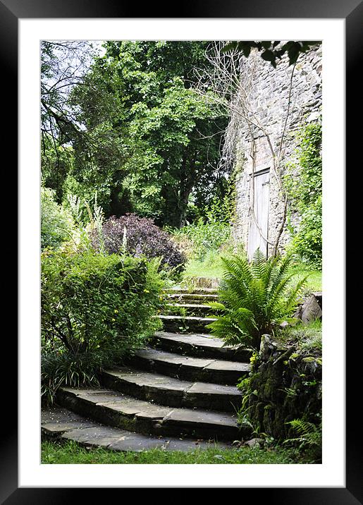 Steps to the Garden Framed Mounted Print by Alexia Miles