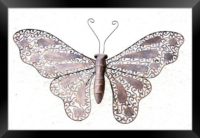 Metal Butterfly Framed Print by Alexia Miles