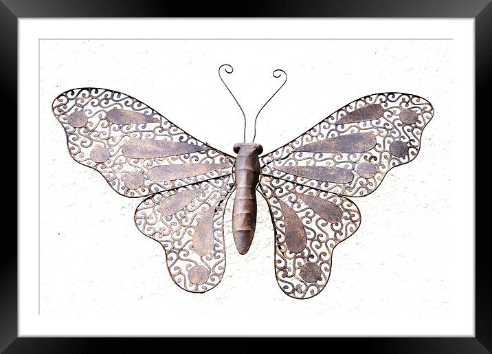 Metal Butterfly Framed Mounted Print by Alexia Miles