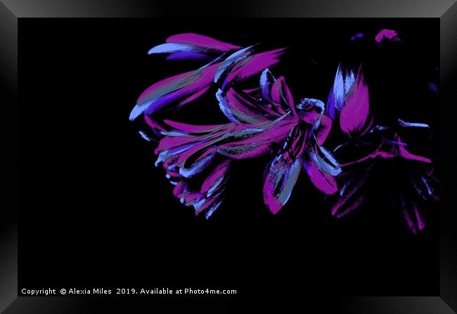 Abstract of purple and pink Framed Print by Alexia Miles