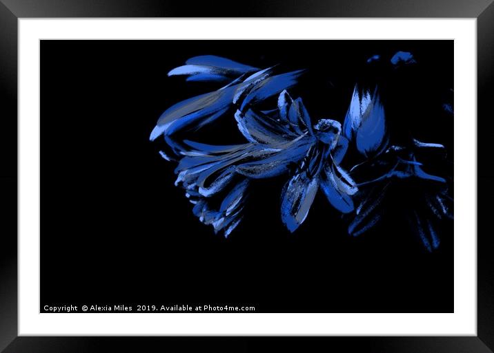 Black and Blue Framed Mounted Print by Alexia Miles
