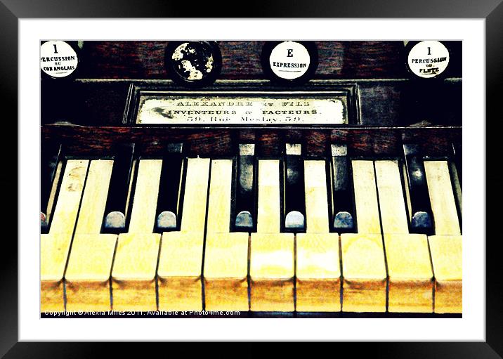piano keys Framed Mounted Print by Alexia Miles