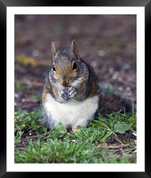 Breakfast Framed Mounted Print by les tobin