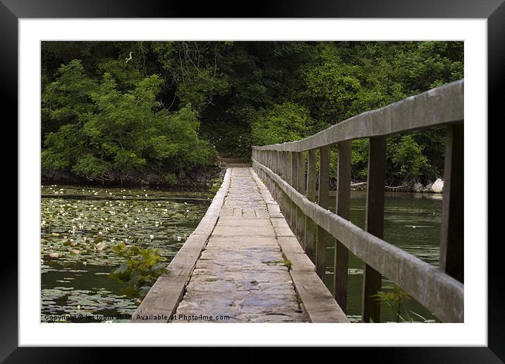 Across the Pond Framed Mounted Print by les tobin