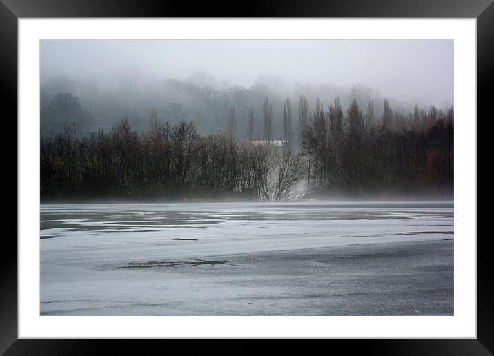 In The Mist Framed Mounted Print by les tobin
