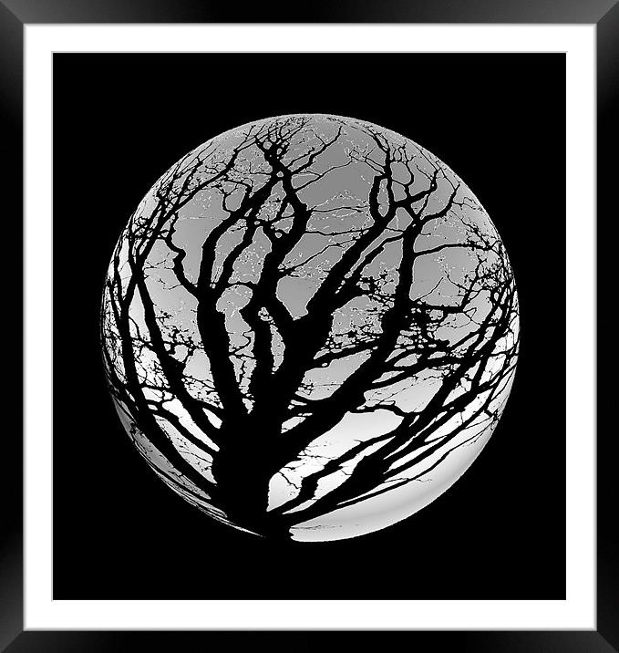 Moon Tree Framed Mounted Print by les tobin