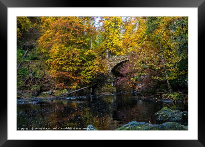 Autumn colours at The Hermitage Framed Mounted Print by Douglas Kerr