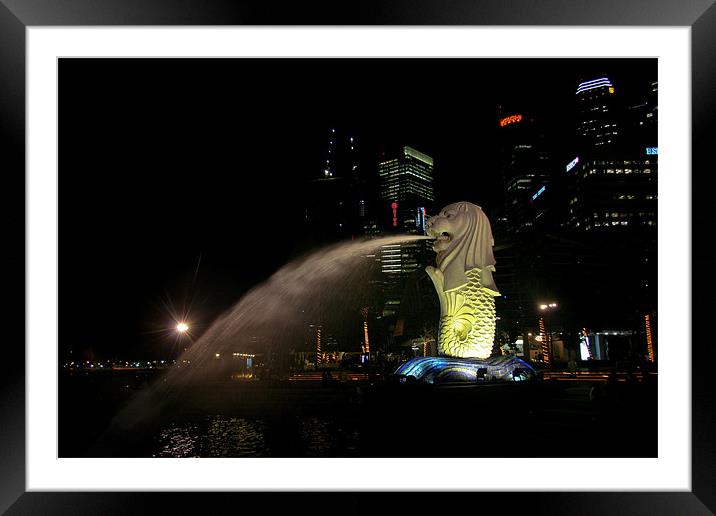 Merlion sculpture in Singapore at night Framed Mounted Print by Douglas Kerr