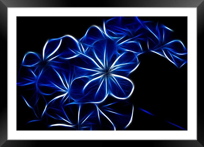 Electric Blue Framed Mounted Print by Maggie Stringer