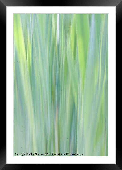 Reeds Framed Mounted Print by Mike Sherman Photog
