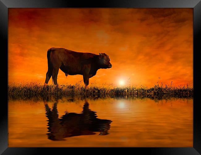 Into the Sunset Framed Print by Mike Sherman Photog