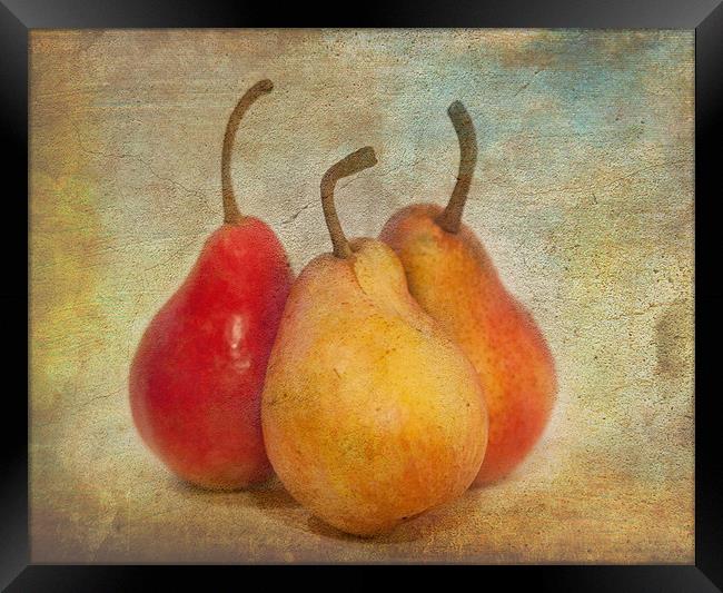 Pears Framed Print by Mike Sherman Photog