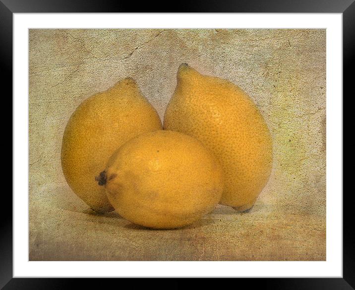 Lemons Framed Mounted Print by Mike Sherman Photog
