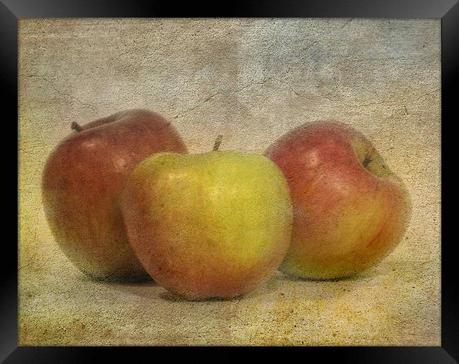 Apples Framed Print by Mike Sherman Photog