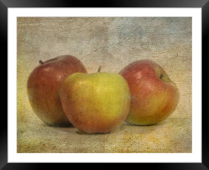 Apples Framed Mounted Print by Mike Sherman Photog