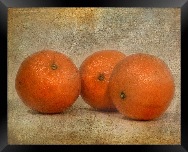 Oranges Framed Print by Mike Sherman Photog