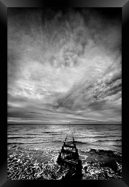 Reaching Out Framed Print by Mike Sherman Photog