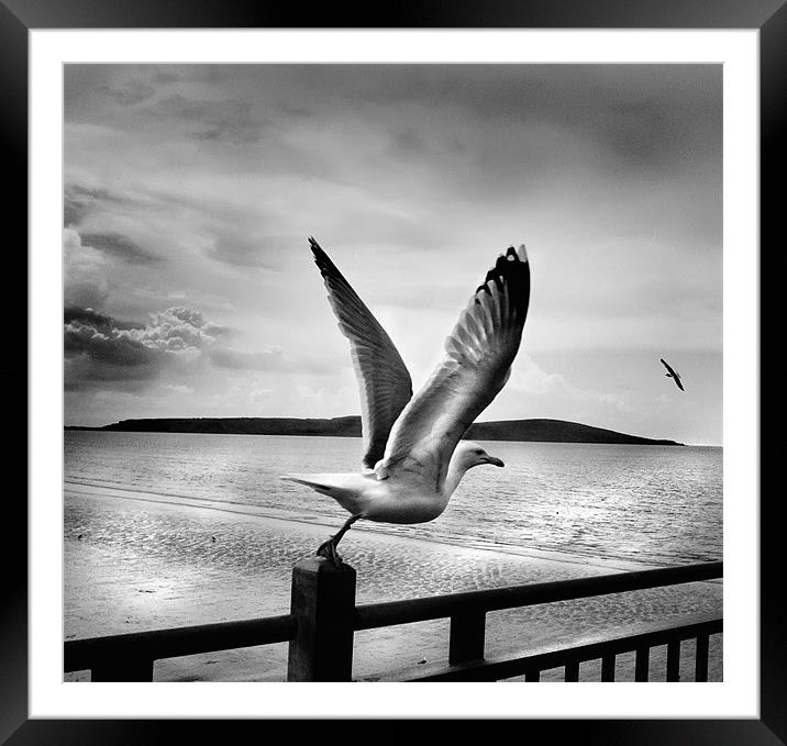 Freedom Framed Mounted Print by Mike Sherman Photog