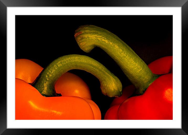 Peppers Framed Mounted Print by Mike Sherman Photog