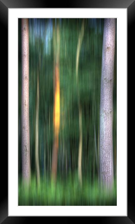 Summer Solstice Framed Mounted Print by Mike Sherman Photog