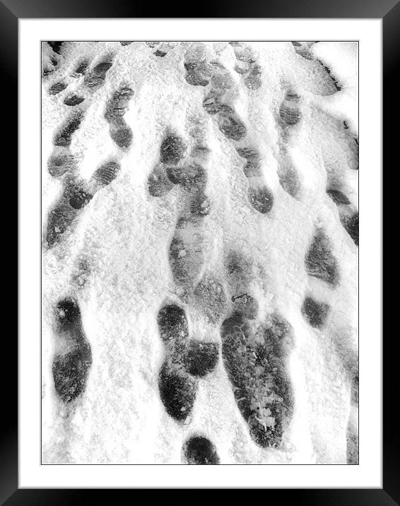 Snow Tracks Framed Mounted Print by Mike Sherman Photog