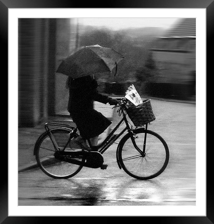 Flowers in the Rain Framed Mounted Print by Mike Sherman Photog