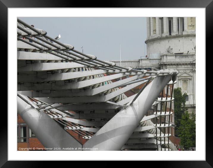 Millenium Footbridge from the South Bank of the Th Framed Mounted Print by Terry Senior
