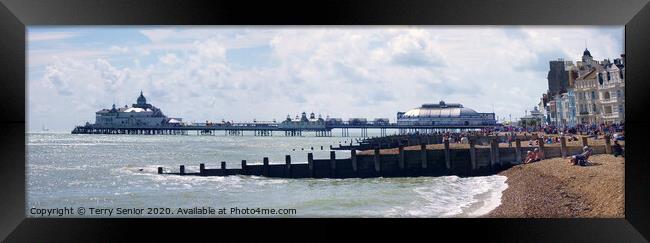 Panoramic view of Eastbourne Pier Framed Print by Terry Senior