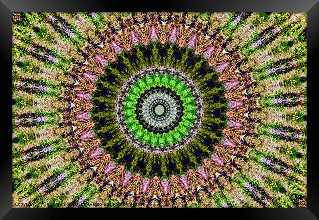 Abstract Digital kaleidoscopic Art Framed Print by Terry Senior