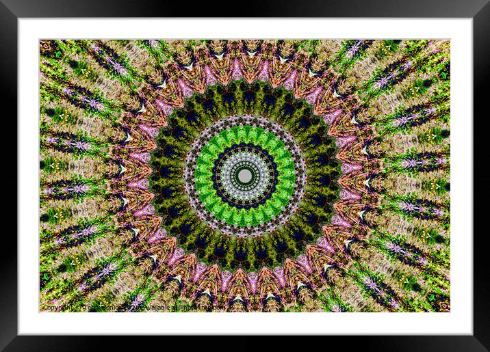 Abstract Digital kaleidoscopic Art Framed Mounted Print by Terry Senior