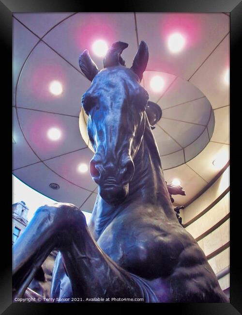 One of The Four Bronze Horses Of Helios, Piccadilly Circus. London Framed Print by Terry Senior