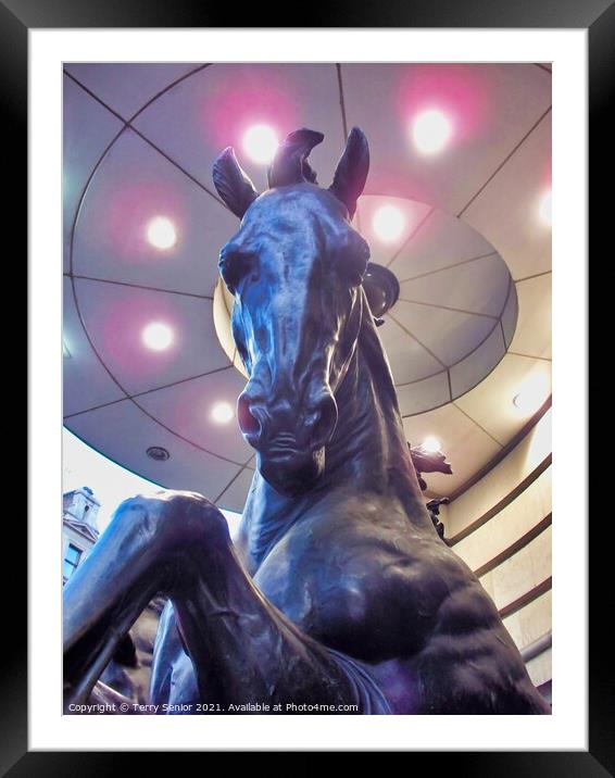 One of The Four Bronze Horses Of Helios, Piccadilly Circus. London Framed Mounted Print by Terry Senior