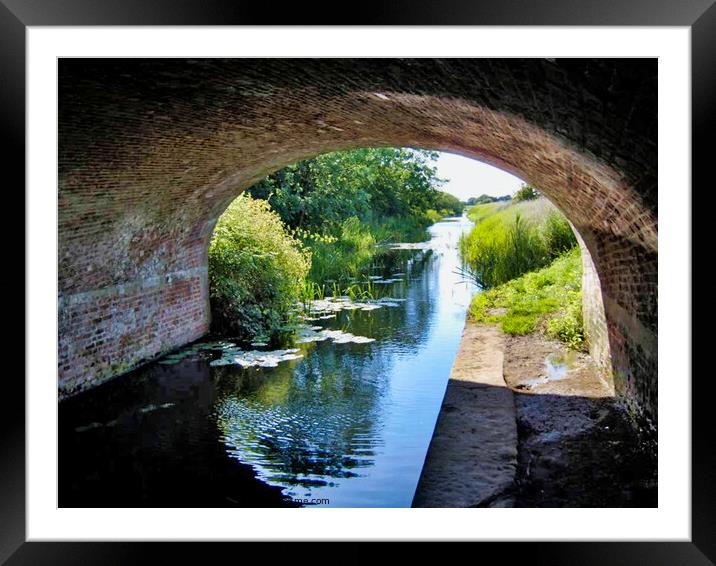 Melbourne Canal Head, Pocklington Canal Framed Mounted Print by Terry Senior
