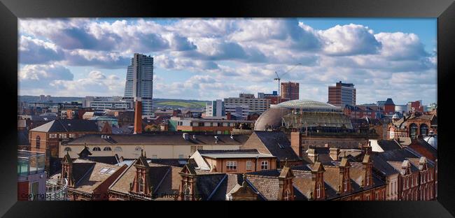 Panoramic View of the Leeds City Skyline Framed Print by Terry Senior