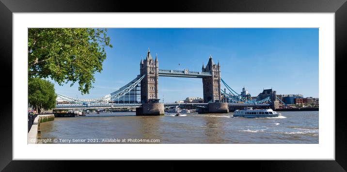 Tower Bridge viewed from the Tower of London Framed Mounted Print by Terry Senior