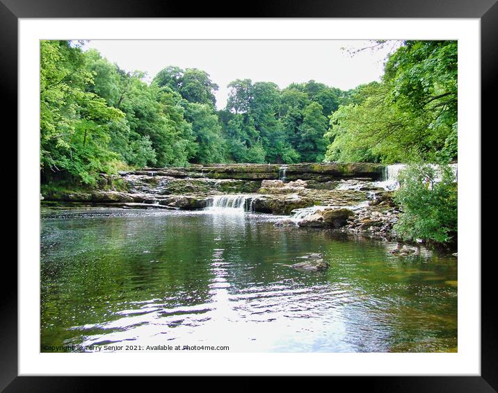 Waterfalls at Aysgarth on the River Ure in the Yor Framed Mounted Print by Terry Senior