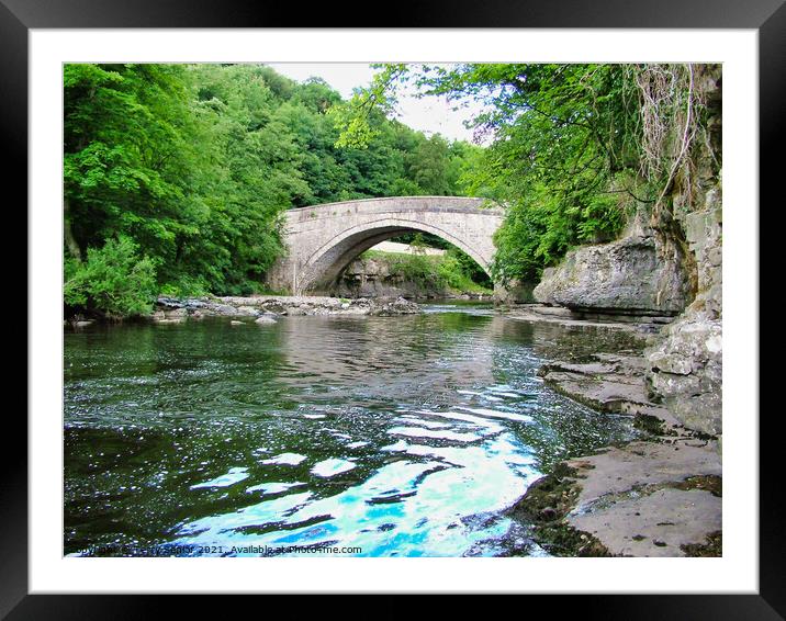 Looking towards the Bridge at Aysgarth on the Rive Framed Mounted Print by Terry Senior