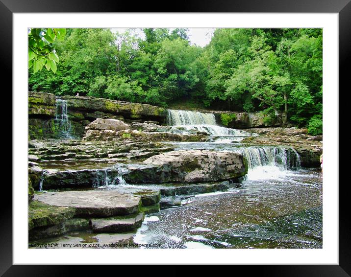 Top flight of Aysgarth Falls on the River Ure in t Framed Mounted Print by Terry Senior