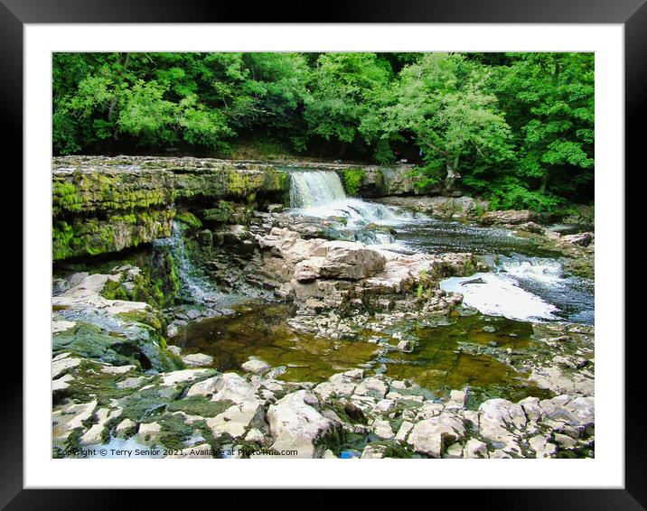 A rocky River Ure at Aysgarth Falls in the Yorkshi Framed Mounted Print by Terry Senior