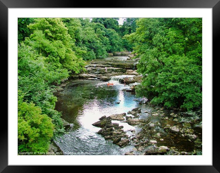 View from the Bridge at Aysgarth Falls in Yorkshir Framed Mounted Print by Terry Senior