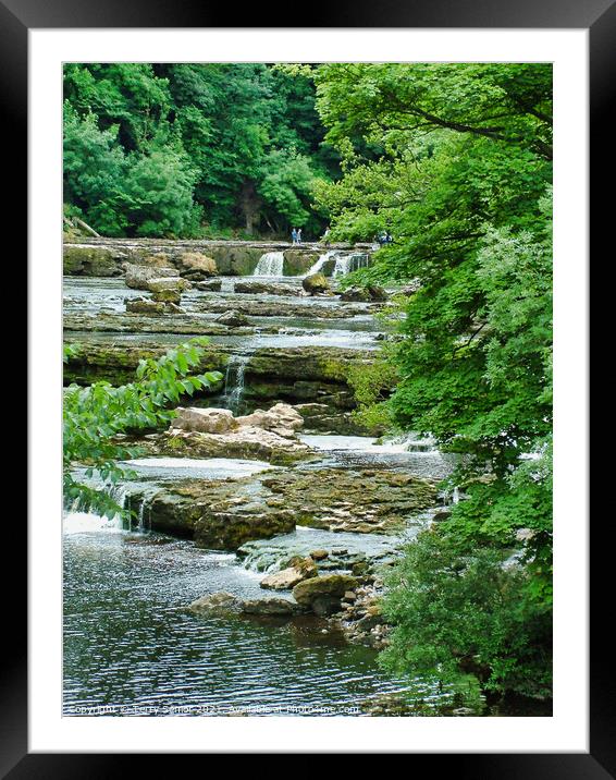 Waterfalls in the Woods at Aysgarth in the Yorkshi Framed Mounted Print by Terry Senior