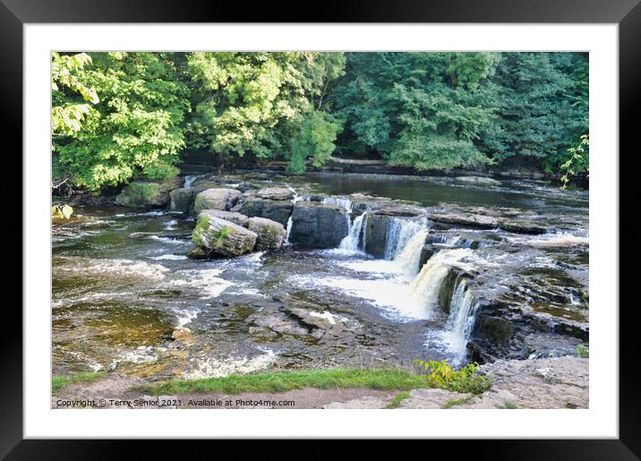 Upper Aysgarth Falls River Ure at Aysgarth Wensley Framed Mounted Print by Terry Senior