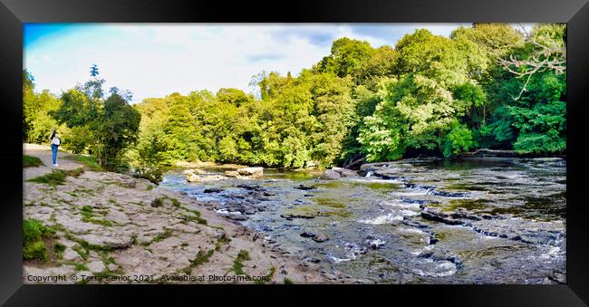 Panoramic view from the Upper Falls at Aysgarth Falls Framed Print by Terry Senior
