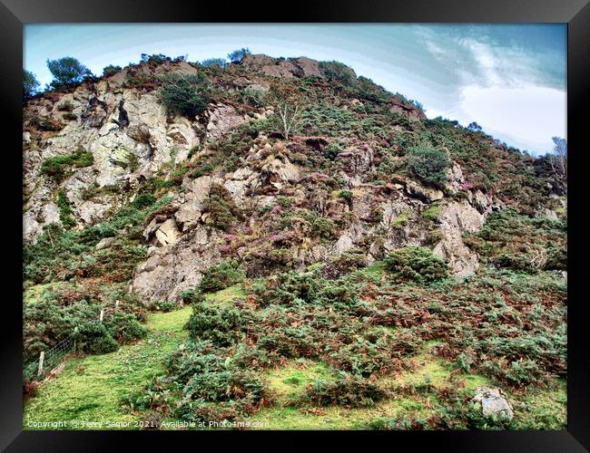 Hillside in Rannerdale Cumbria in the Lake District HDR Framed Print by Terry Senior